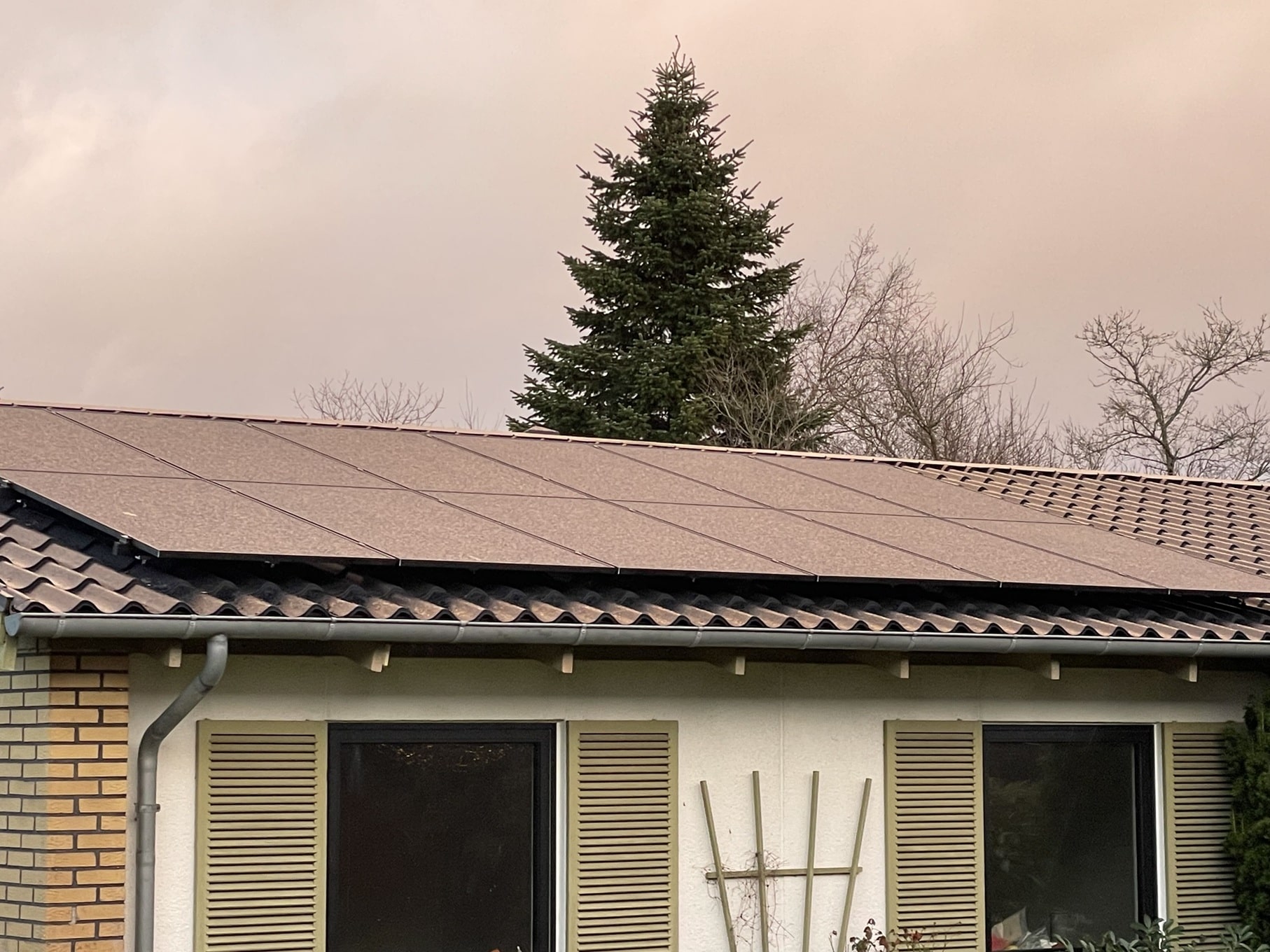 Solceller og skat: Hvad skal du betale, når du producerer din egen strøm?